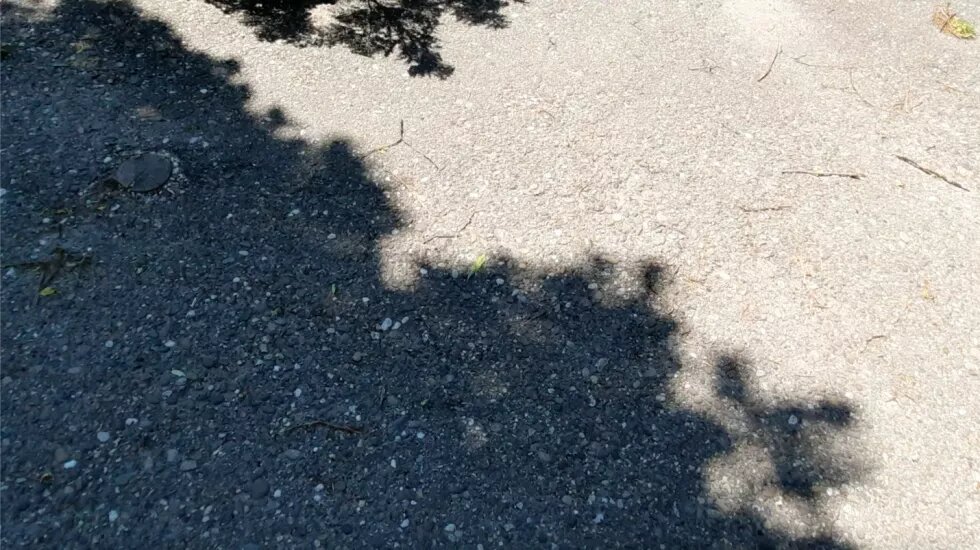 Schatten von Bäumen auf dem Asphalt