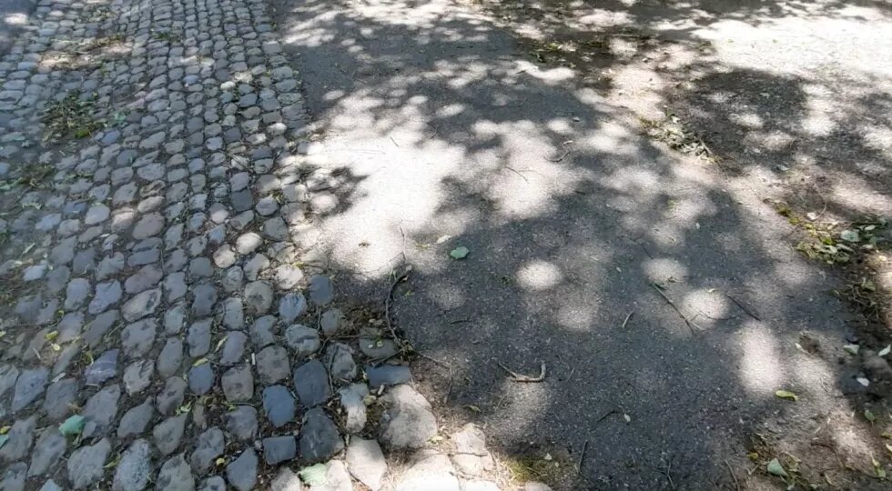 Schatten von Bäumen auf dem Asphalt