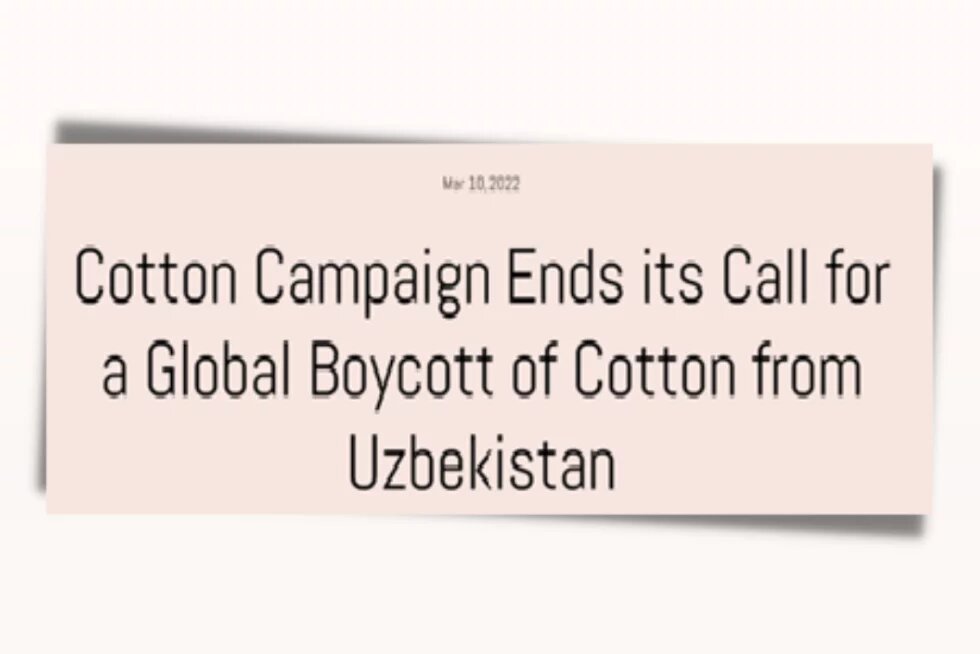 Cotton Campaign Ends its Call for a Global Boycott of Cotton from Uzbekistan